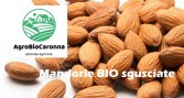mandorle_bio_sgusciate